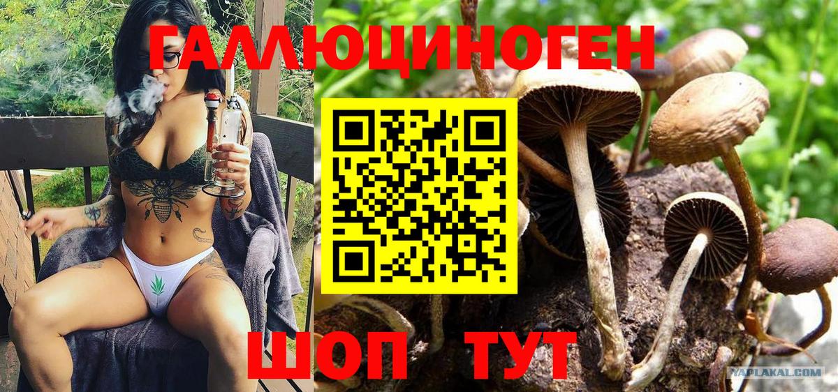 Псилоцибиновые грибы Magic Shrooms Гагарин