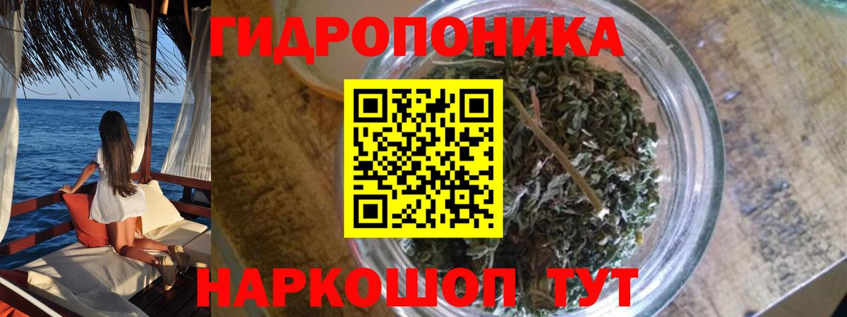 Канабис семена Гагарин